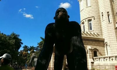 Finca de los monos La Habana (2)