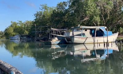 Autorizan la importación de motores marinos para embarcaciones de hasta 60 HP