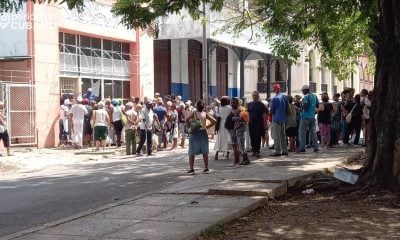Cubanos opinan sobre el tope precios al pollo, aceite y leche de las Mipymes
