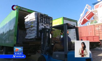 Descubre cómo las Mipymes privadas importar un contenedor de pollo a Cuba
