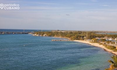 Emiten alerta epidemiológica en los cayos de Florida por casos de dengue