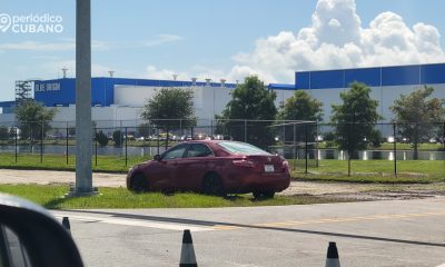 ¡Atención! Florida endurecen sanciones por manejar sin licencia