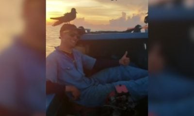 Balseros cubano graban su llegada a Florida con gaviotas a bordo