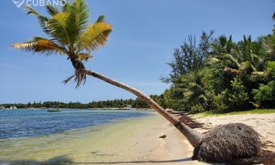 No saliste de vacaciones en el verano Punta Cana te espera con una promoción imperdible hasta diciembre