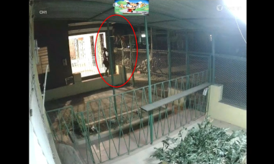 Banda de ladrones robó millones de pesos en casas de Cienfuegos