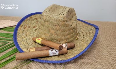 Cuba alcanza “ventas récord” de tabacos al recaudar 721 millón de dólares en un año