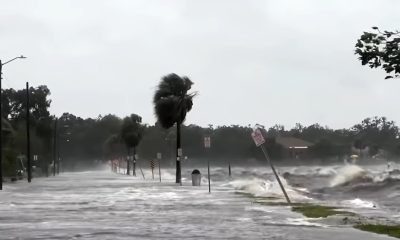 Videos de la terrible afectación del huracán Helene en el estado de Florida (1)