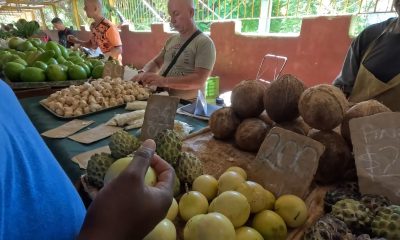 Youtuber recorre los mercados de La Habana: ¡Los precios son inalcanzables!