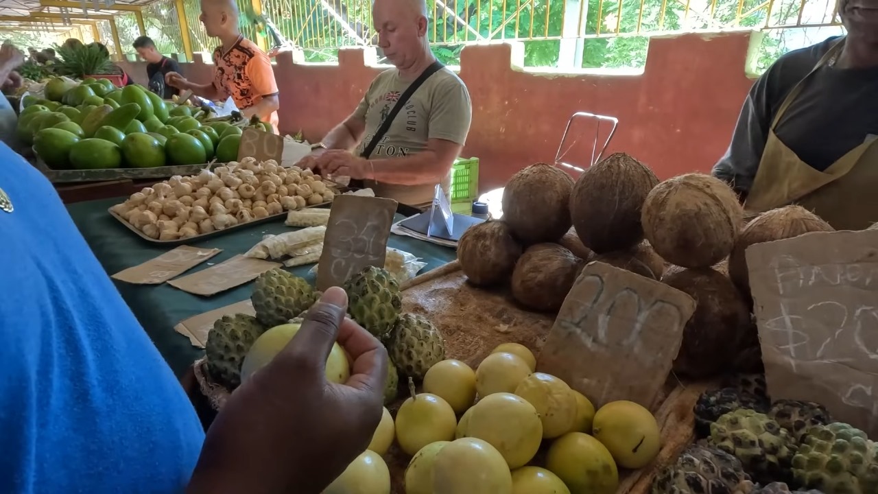 Youtuber recorre los mercados de La Habana: ¡Los precios son inalcanzables!