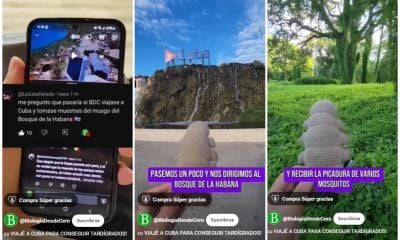 tardígrado Bosque de La Habana