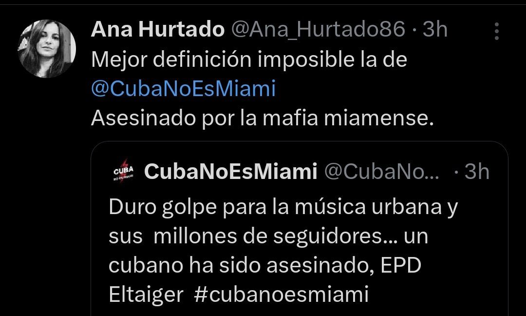 Afines al gobierno culpan a la “mafia de Miami” por el asesinato de El Taiger
