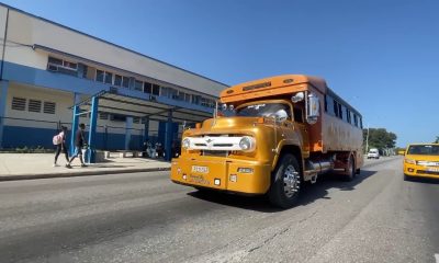 Apk Viajando incorporará la venta de boletos de transporte del sector privado