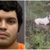 Arrestan al dueño del perro abandonado en plena inundación del huracán Milton (17)