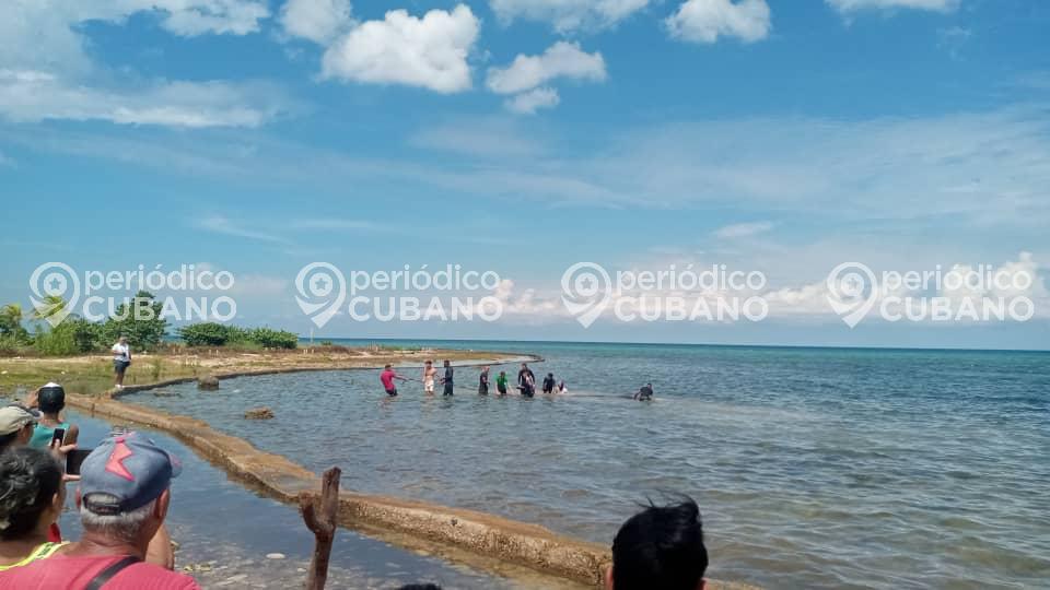 Ballena bufeo encalla en Playa Baracoa y los cubanos salen a su encuentro 2 (2)