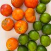 Corresponsal de la CNN se queja de los altos precios en Cuba 8.600 CUP por una jaba de tomates y limones