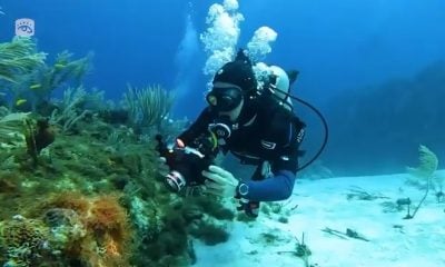 Cubanos ganan oro y plata en el Campeonato Mundial de Fotografía y Video Subacuáticos 2024 (15)
