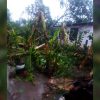 El huracán Óscar ocasiona daños graves a las plantaciones de café, plátano y tomate en Guantánamo