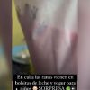 Encuentran una rana en bolsa de leche para niños en la Isla de la Juventud