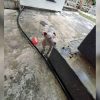 Ofrecen 15.000 pesos de recompensa por encontrar a un Pitbull perdido en La Habana