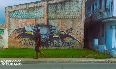 taiger mural en la habana (9)