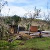 Aumenta a 12.180 el total de viviendas dañadas por el huracán Oscar en Cuba9