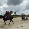 El Citma confirma retrasos y falta de recursos para rehabilitar la playa de Guanabo