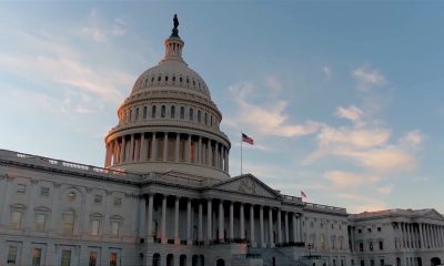 Elecciones en Estados Unidos 2024 Cuántos escaños se eligen para el Congreso