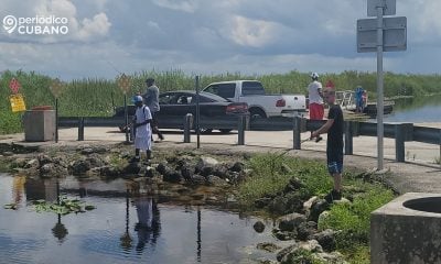 Elecciones en Florida solo aprueban dos de las seis enmiendas a la constitución