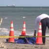 Encuentran cabeza humana en la playa de Key Biscayne: policía investiga un posible homicidio