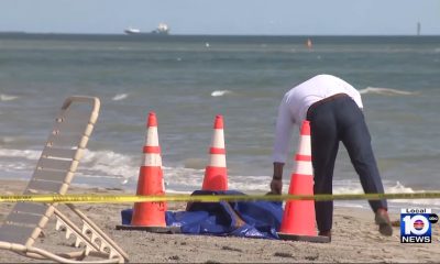 Encuentran cabeza humana en la playa de Key Biscayne: policía investiga un posible homicidio