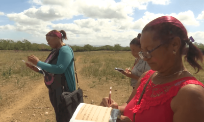 Gobierno les quita las tierras a 137 campesinos por “ilegalidades en las entregas de leche y carne”