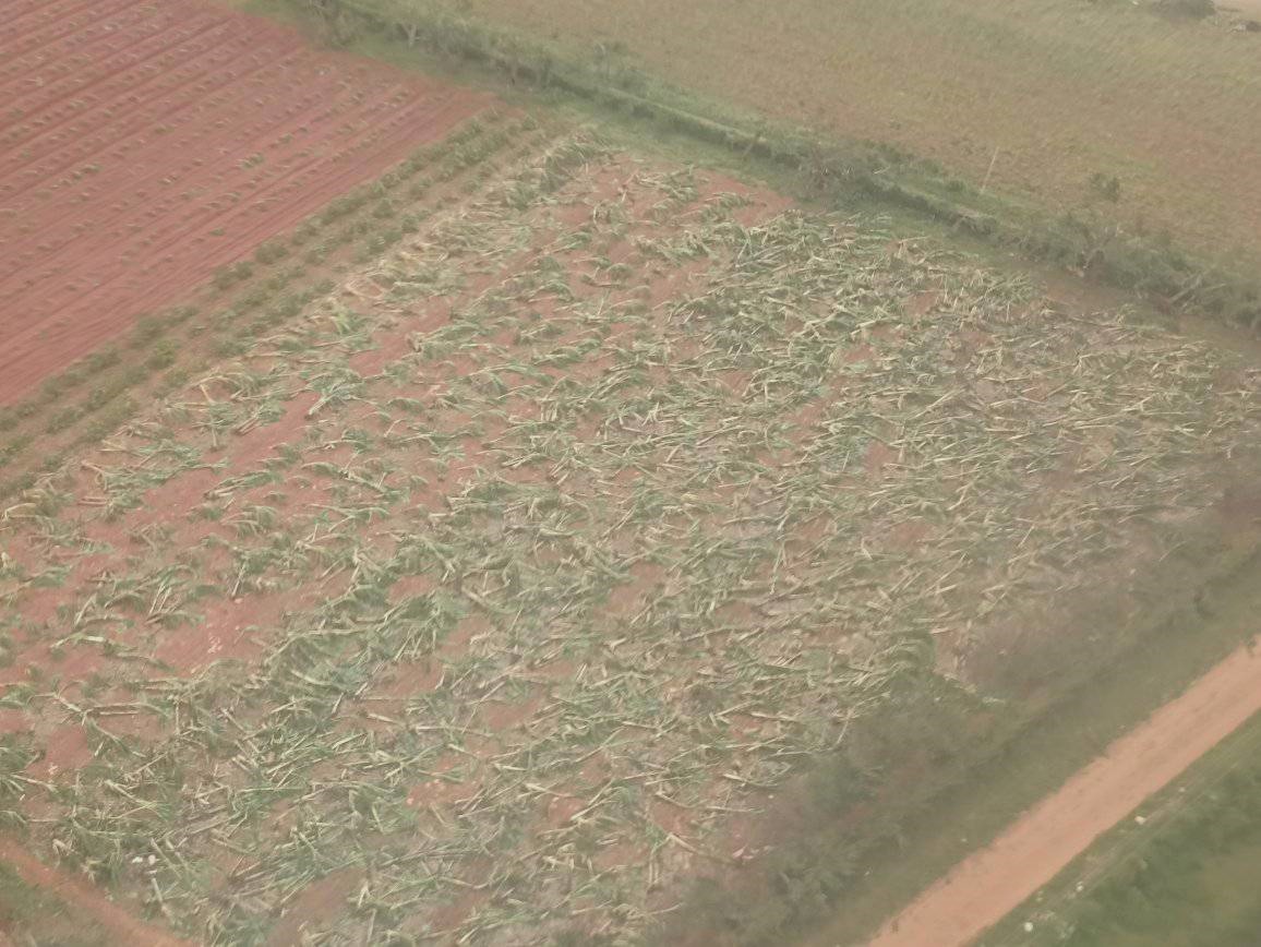 Huracán Rafael arrasa cultivos en Cuba y agrava la crisis alimentaria