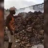 Queman decenas de cartones de huevo en el municipio Consolación del Sur