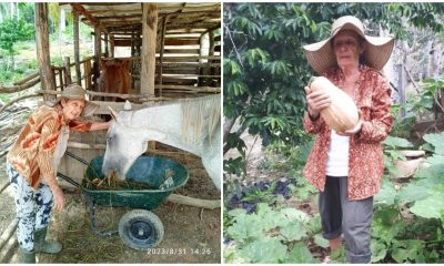 Régimen cubano despoja a los hermanos Urquiola de su finca en Viñales (1)