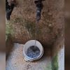Vecinos del municipio Cerro reciben agua potable contaminada en sus hogares