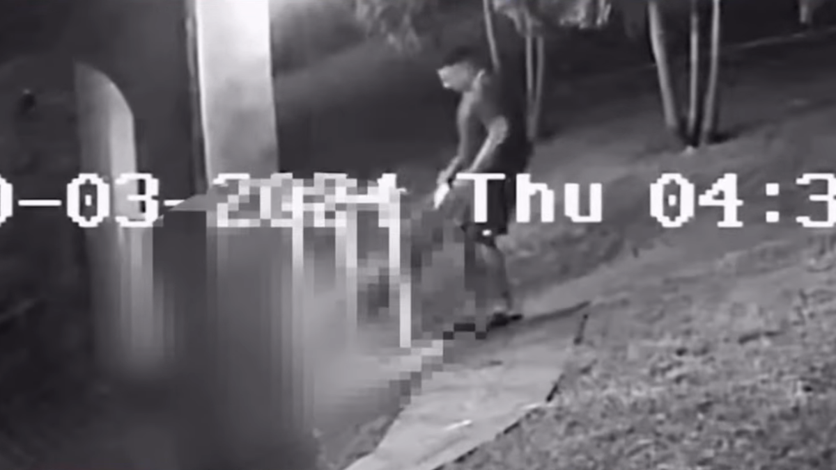 Video del Caso el Taiger y Damian Valdez