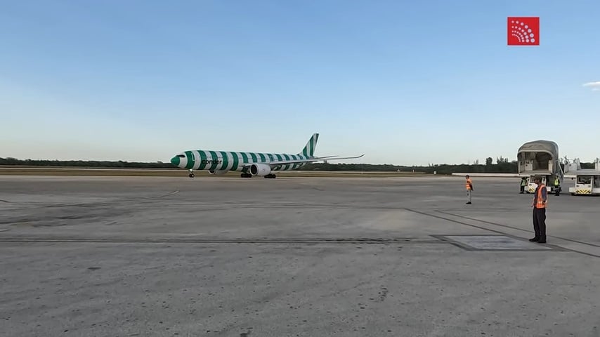 Aerolínea alemana cancela vuelos a destinos cubanos para el 2025