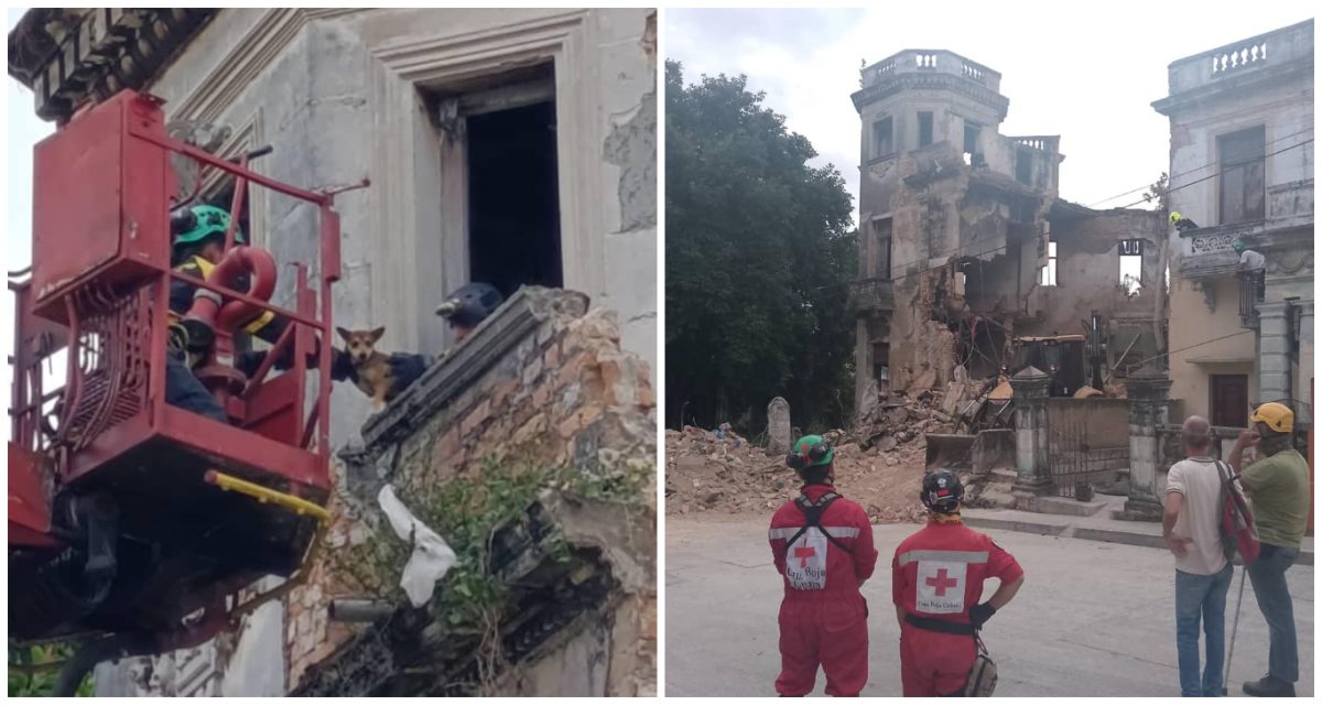 Bomberos rescatan a dos cachorros de un derrumbe en La Habana