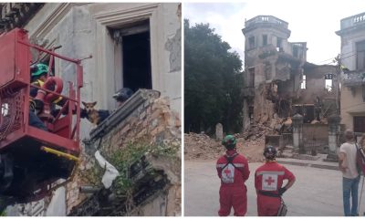 Bomberos rescatan a dos cachorros de un derrumbe en La Habana