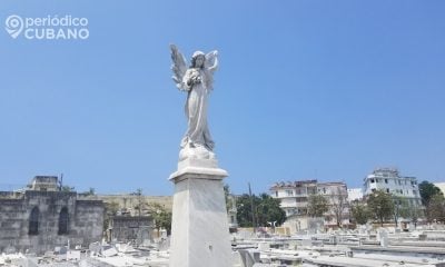 Confirman dos nuevos feminicidios en las provincias de Santiago de Cuba y Holguín