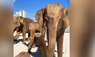 Elefantes de madera