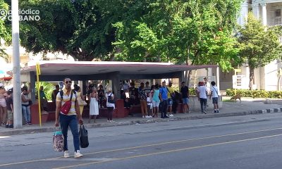 Más de 228.000 cubanos no estudian ni trabajan, pero las cifras son mayores