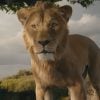 Película 'Mufasa: El Rey León' llega a los cines con una visión renovada de la historia