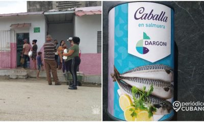 Oficoda niega a un adulto mayor su lata de sardina: “tiene que esperar al 2025”