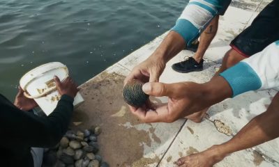 Pescadores de almejas en Cuba sobreviven en pobreza mientras los turistas disfrutan el lujo (1)