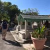 Saqueadores vandalizan el cementerio chino en Nuevo Vedado