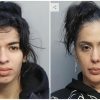 Cubanas detenidas en Miami por sospecha de robo valorado en más de 20.000 dólares (1)