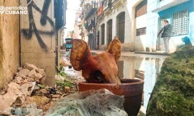 El fracaso del socialismo en Cuba