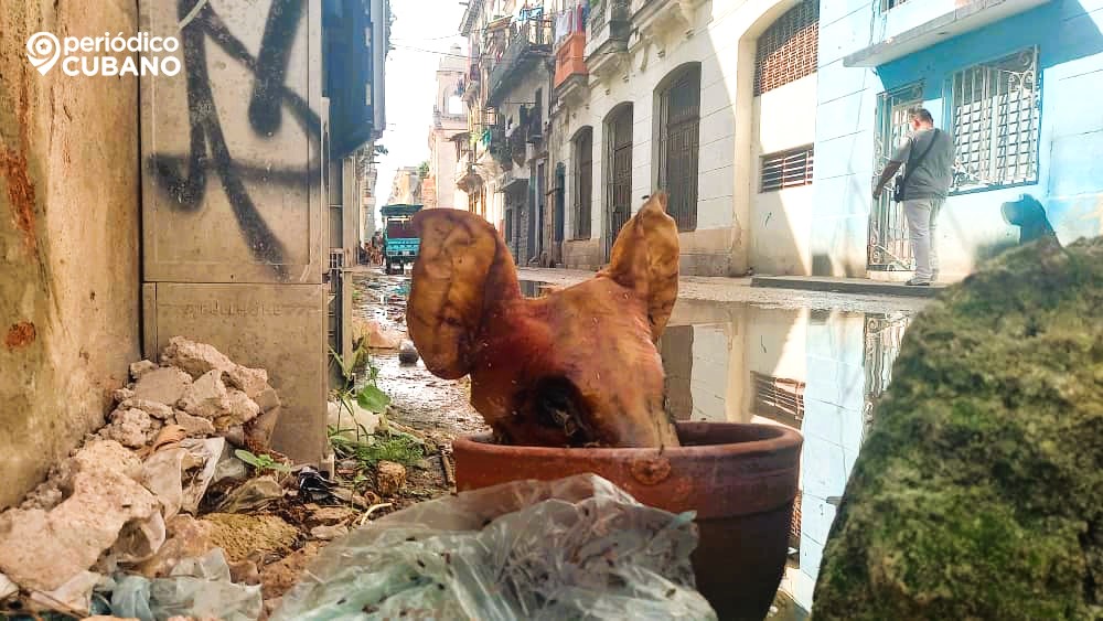 El fracaso del socialismo en Cuba