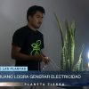 Generación de energía a través de plantas podría aliviar la crisis de apagones en Cuba (1)